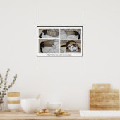 猫を封筒に入れて出荷する方法…おもしろいプリント ポスター (キッチン)