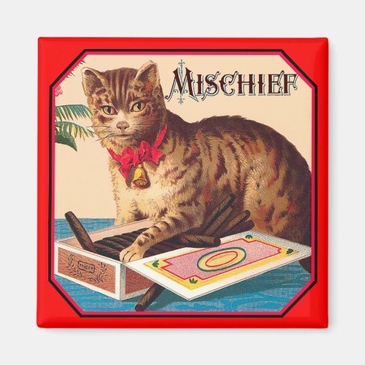 猫を惑わす マグネット (正面)