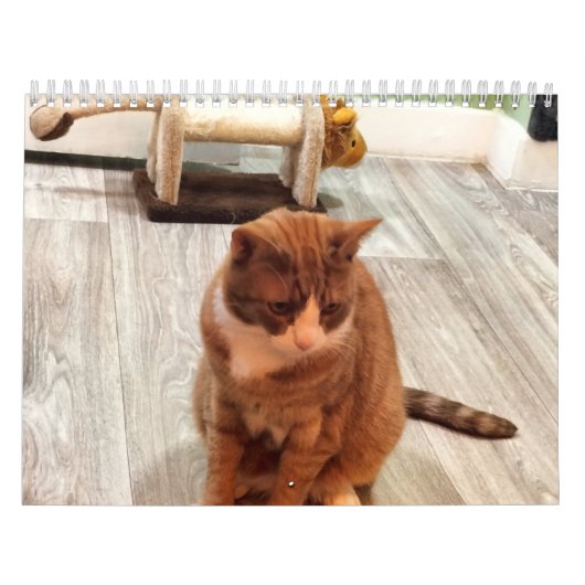 猫を愛するために カレンダー (カバー)