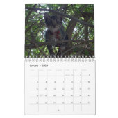 猫を愛するカレンダー カレンダー (1月 2026)