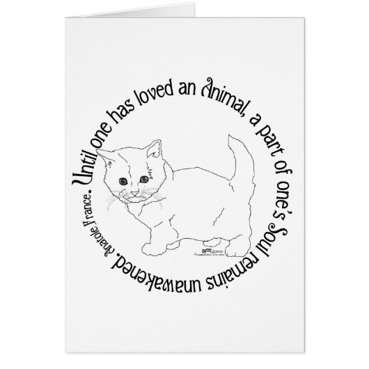 猫を愛する (正面)