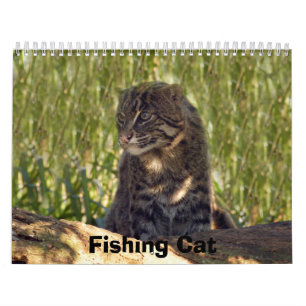 猫を採取するFishingCat008 カレンダー