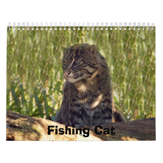 猫を採取するFishingCat008 カレンダー (カバー)
