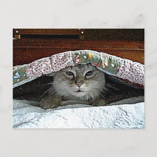 猫を攻撃する ポストカード (正面)