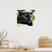 猫を放して下さい ポスター (キッチン)