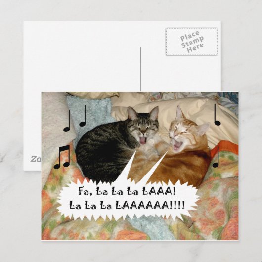 猫を歌う ポストカード (正面/裏面)