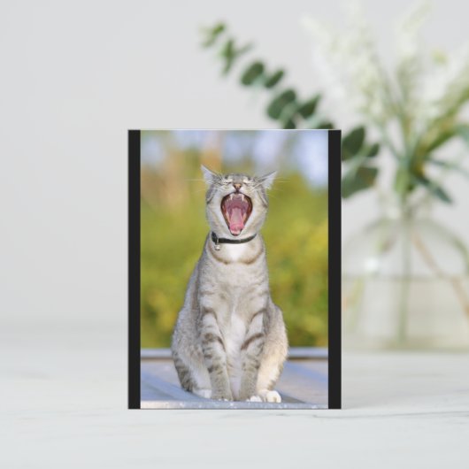 猫を歌う ポストカード (スタンド正面)