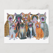 猫を歌う ポストカード (正面)