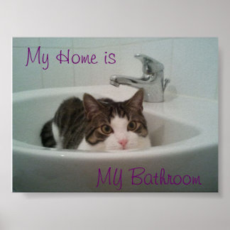 猫を清潔にする ポスター