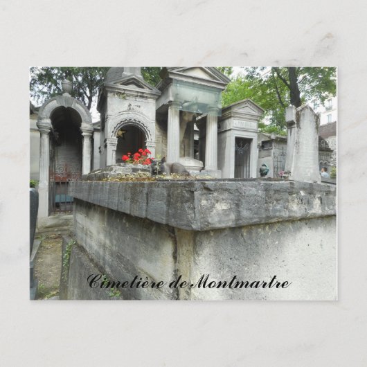 猫を見つけて下さい! (文字) ポストカード (正面)