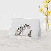 猫を見ている犬 カード (黄色い花)
