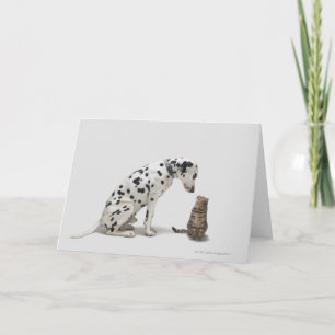 猫を見ている犬 カード