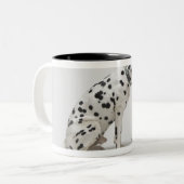 猫を見ている犬 ツートーンマグカップ (正面左)