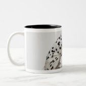 猫を見ている犬 ツートーンマグカップ (左)