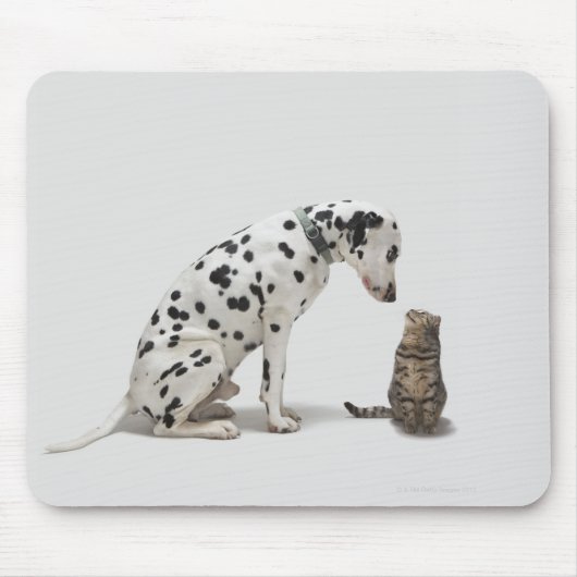 猫を見ている犬 マウスパッド (正面)