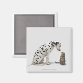 猫を見ている犬 マグネット (正面/裏面)