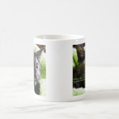 猫を避けて欲しい コーヒーマグカップ (中央)