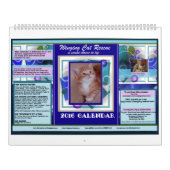 猫を飛んで2016の報酬のカレンダーを救助して下さい カレンダー (カバー)