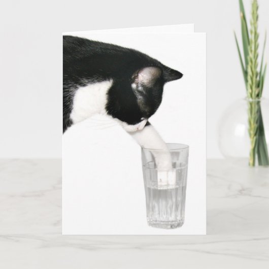 猫を飲みに来てくれ カード (正面)