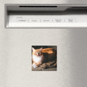 猫をJTする マグネット (インサイチュ (食洗機))