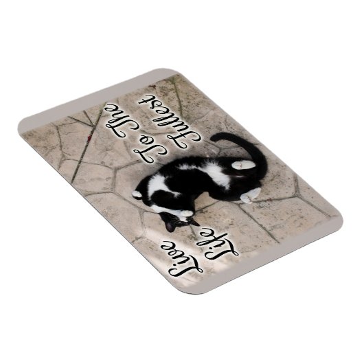 猫アートを満喫やる気を起こさせるする生き方 マグネット (右側)