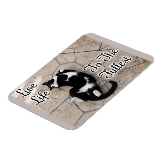 猫アートを満喫やる気を起こさせるする生き方 マグネット (左側)