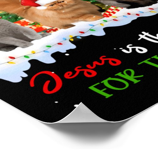 猫イエスがクリスマスの醜い季節の理由 ポスター (角)