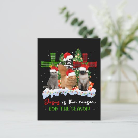 猫イエスがクリスマスの醜い季節の理由 ポストカード (スタンド正面)
