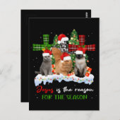 猫イエスがクリスマスの醜い季節の理由 ポストカード (正面/裏面)