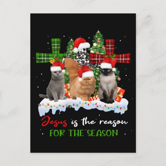 猫イエスがクリスマスの醜い季節の理由 ポストカード (正面)
