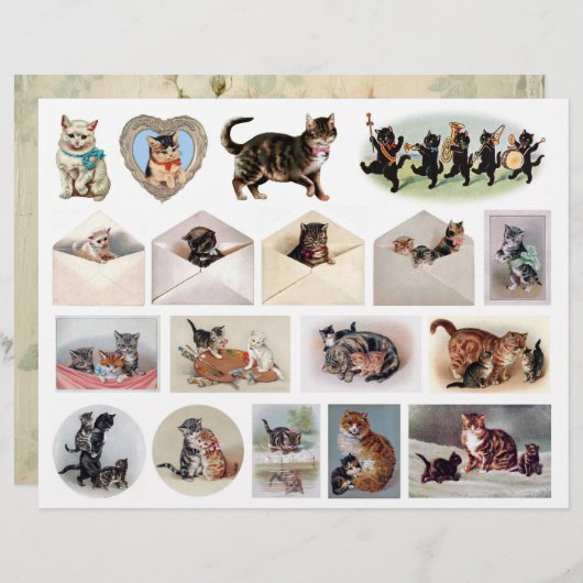 猫エフかわいらしエメラbyヘレナ・マグワイア(1860年~1909年) (正面/裏面)