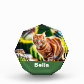 猫エレガントオーナメントのペット写真 フォトブロック (正面)