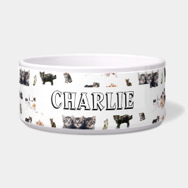 猫カスタムと子猫の写真のパターン ボウル