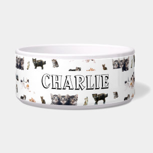 猫カスタムと子猫の写真のパターン ボウル