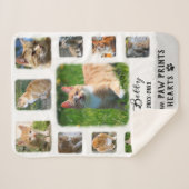 猫カスタムの写真縁どの色あせ シェルパブランケット (正面(横))