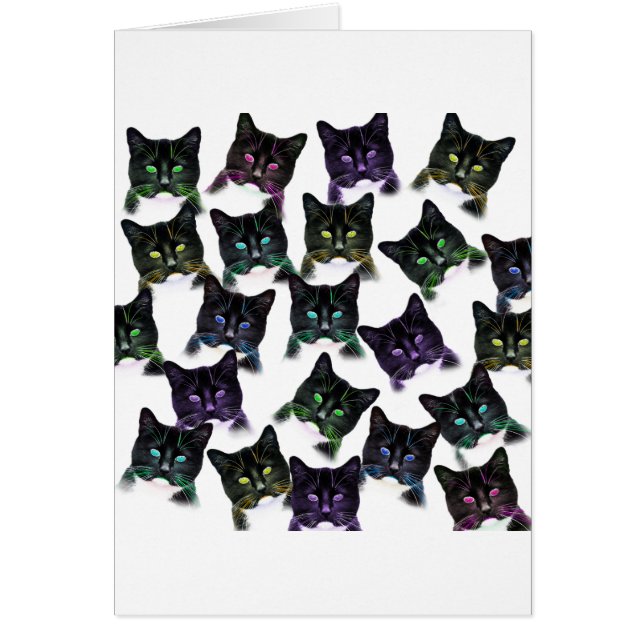 猫カッコいい (正面)