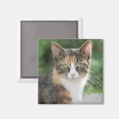 猫カッコいい マグネット (正面/裏面)