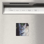 猫カプチーノ マグネット (インサイチュ (食洗機))