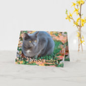 猫カラフルカード カード (黄色い花)