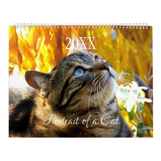 猫カレンダーのポートレート- HAMbyWG カレンダー (カバー)