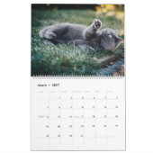猫カレンダー猫カレンダーホームウォールa カレンダー (3月 2027)