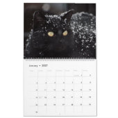 猫カレンダー猫カレンダーホームウォールa カレンダー (1月 2027)