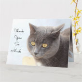 猫カードありがとうございます カード (黄色い花)