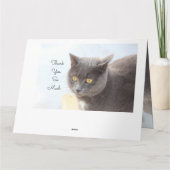 猫カードありがとうございます カード (裏面)