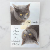 猫カードありがとうございます カード (内部)
