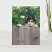 猫カードおもしろいでかわいく愛らしいベストありがとう サンキューカード (正面)