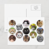猫カードが多い ポストカード (正面/裏面)