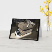 猫カードとの暮らし カード (黄色い花)