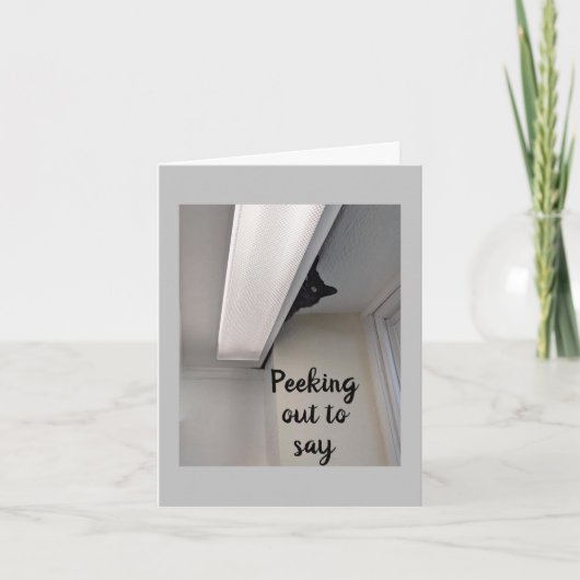 猫カードののぞき見から「ハッピーバースデー」 カード (正面)