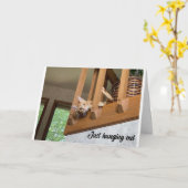 猫カードぶら下がった「HAPPY FATHER'S DAY」 カード (黄色い花)